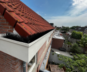 Dakgootborstel